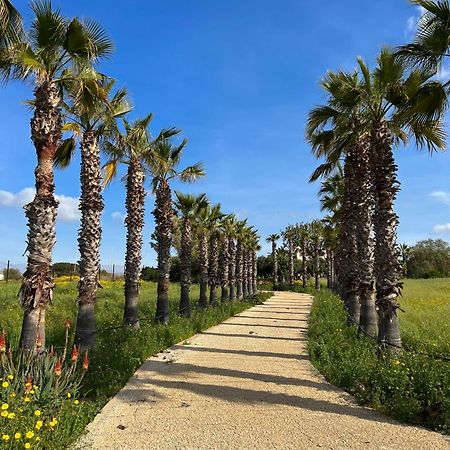 Villa Dea Sampieri Εξωτερικό φωτογραφία