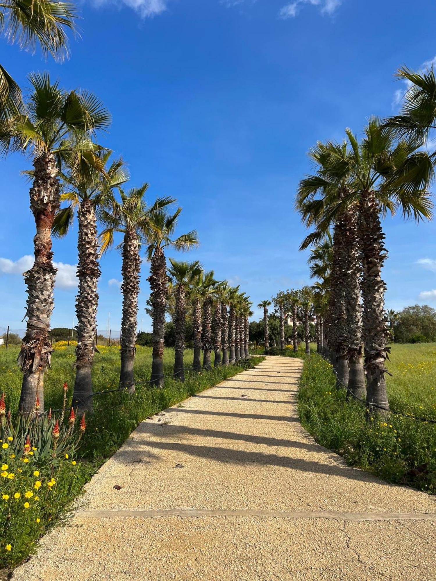 Villa Dea Sampieri Εξωτερικό φωτογραφία